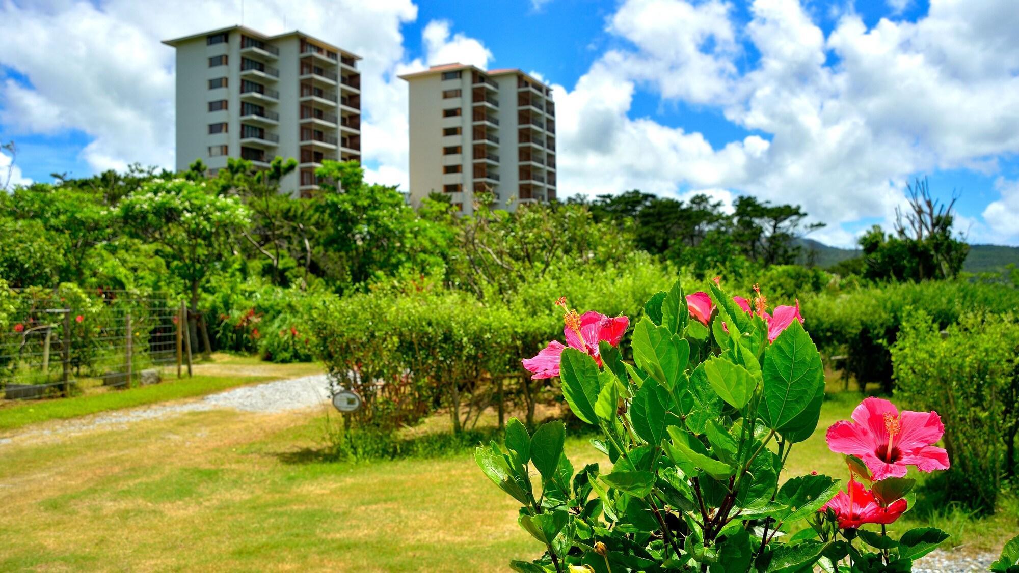 The Atta Terrace Club Towers (Adults Only) Hotel Onna Eksteriør billede